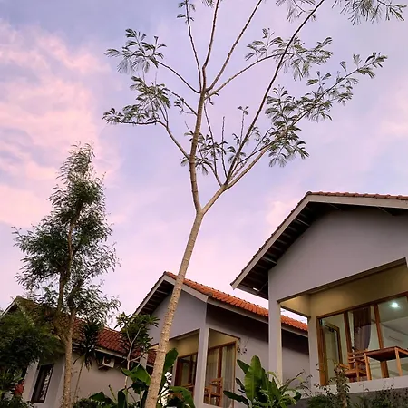 Tommy Homestay Plambi Exterior photo