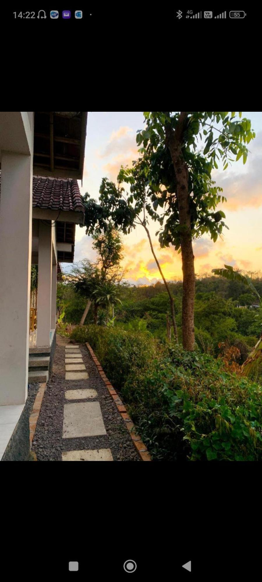 Homestay Tommy Plambi
