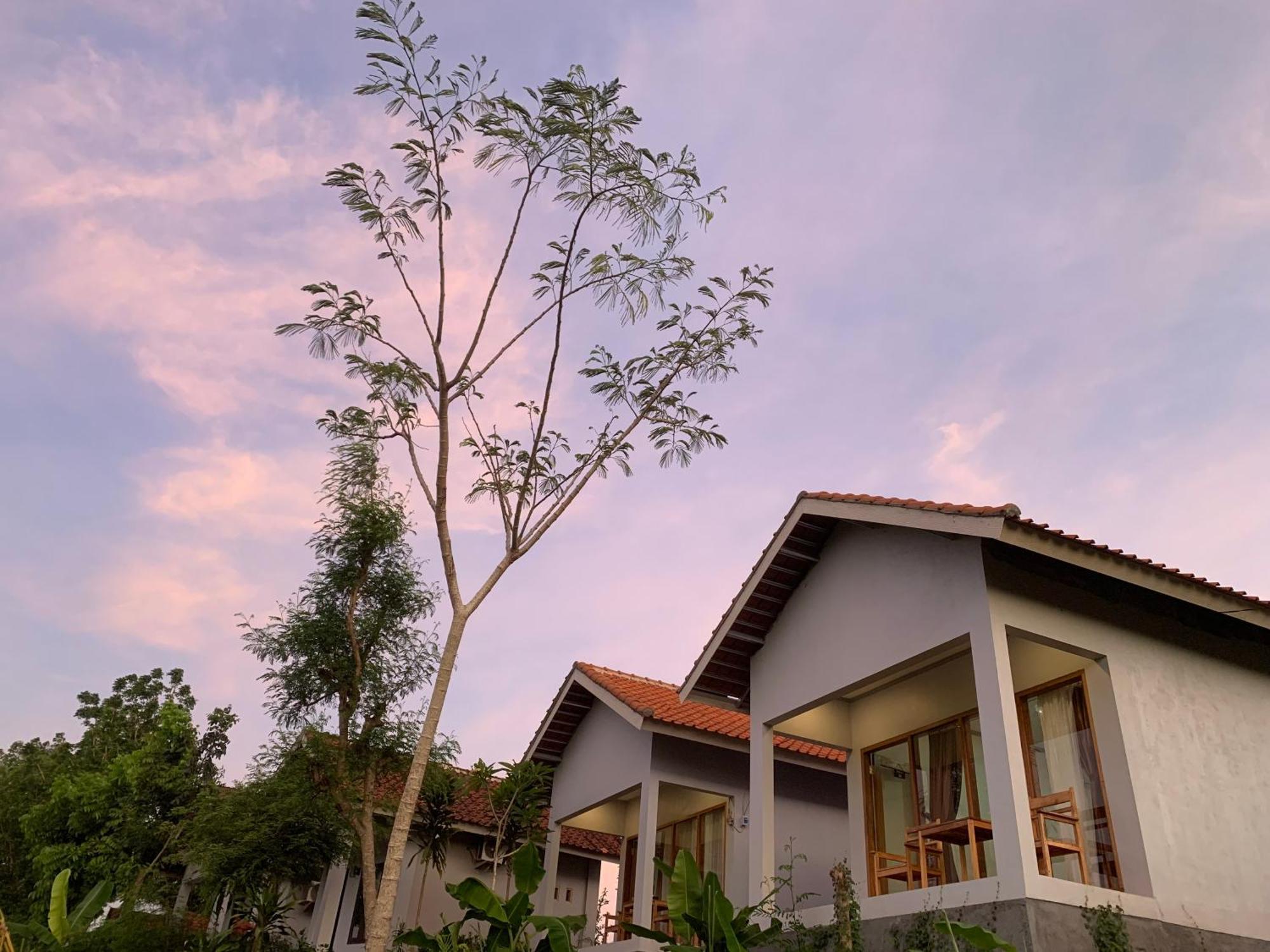 Homestay Tommy Plambi