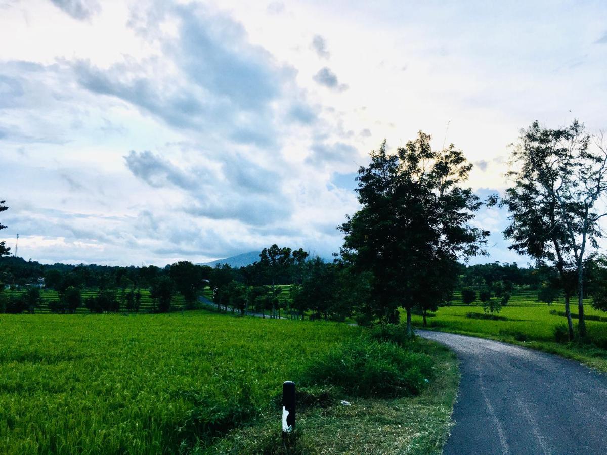 Tommy Homestay
