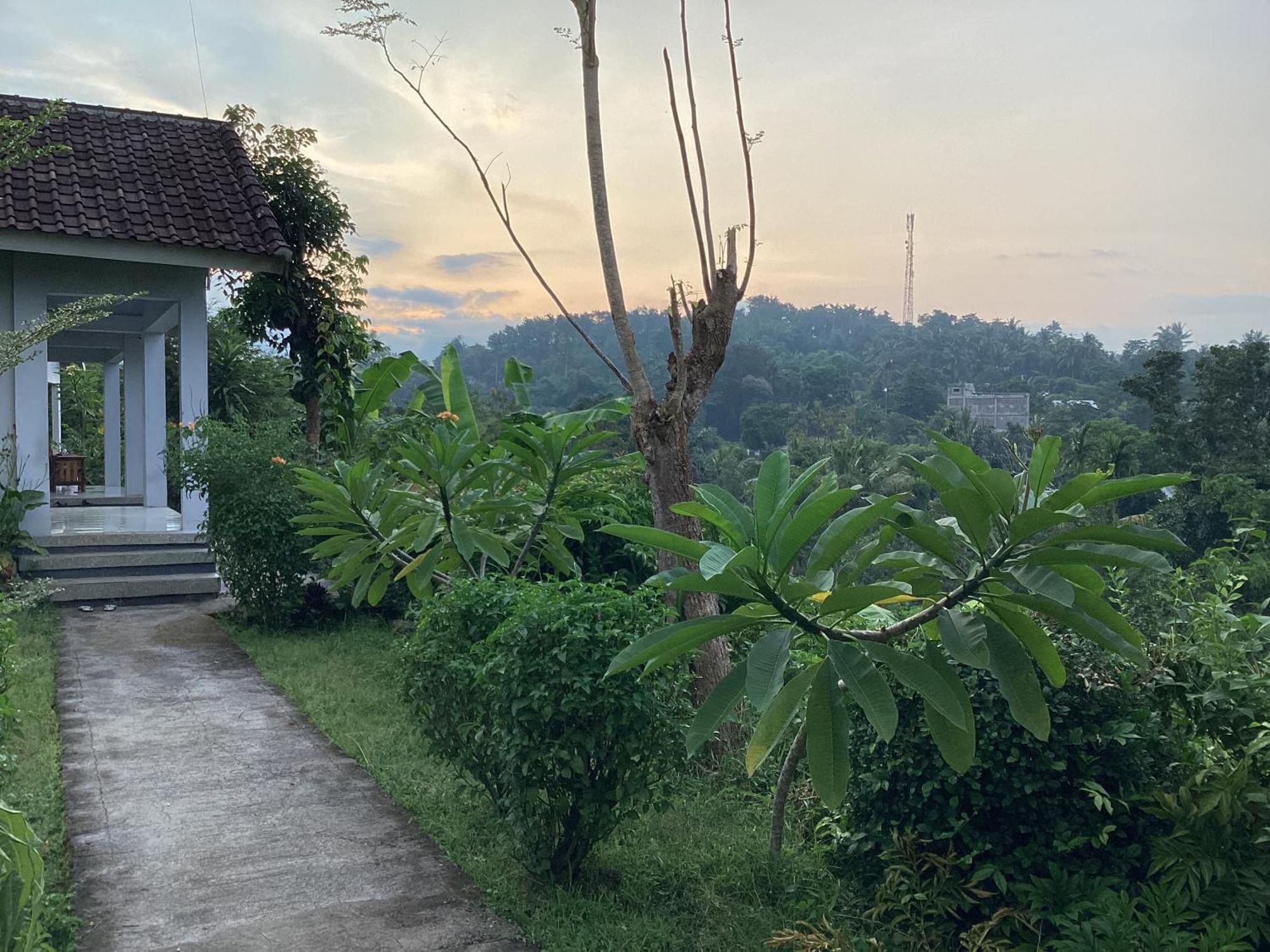Homestay Tommy